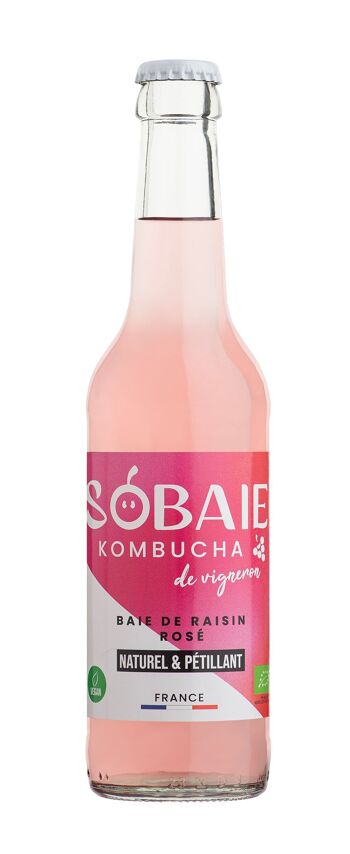 recette my cafe kombucha