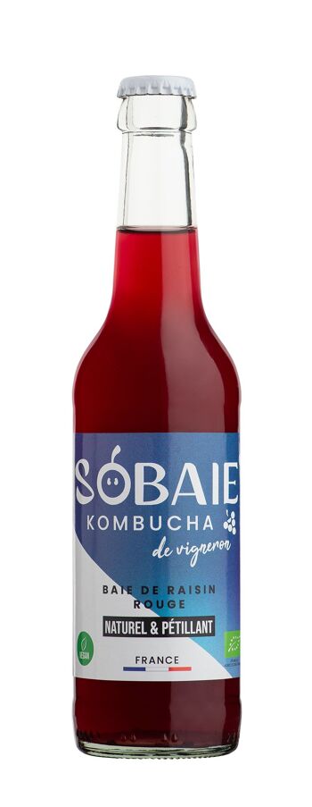 recette du kombucha