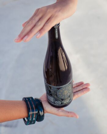 kombucha propiedades