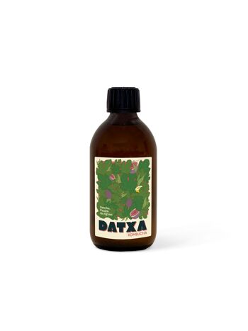 lokki kombucha prix