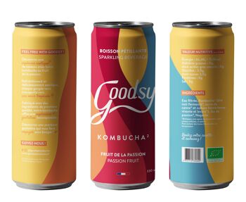 kombucha moisissure