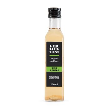 comment consommer le kombucha