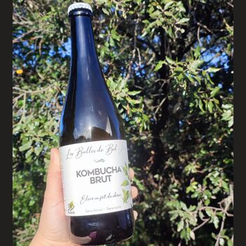 kombucha lemon