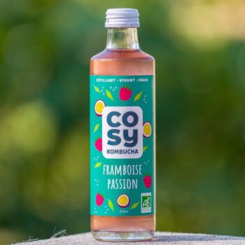 kombucha recette maison