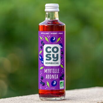 kombucha enceinte