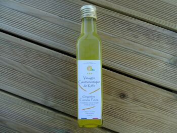 kombucha champignon bienfait