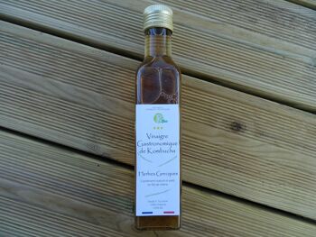 kombucha mangue