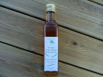 kombucha peligros