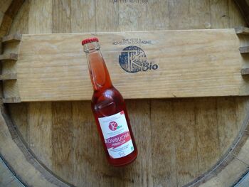 le kombucha