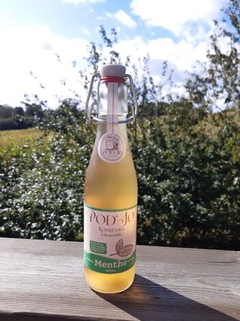 vegan kombucha tea essence
