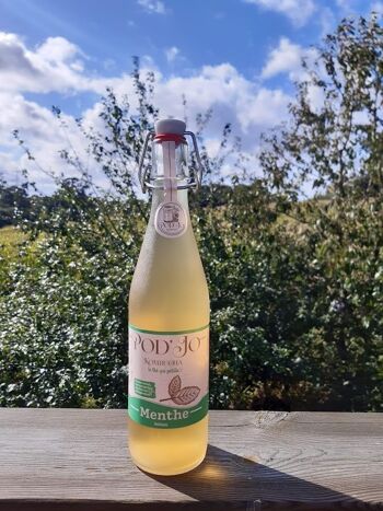 archipel kombucha