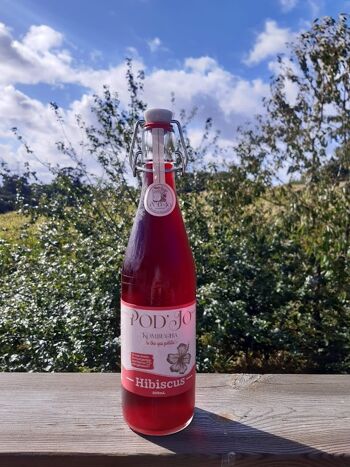 quand boire du kombucha